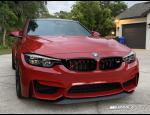 f80 front angle.jpg